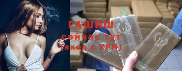 гидра Медвежьегорск