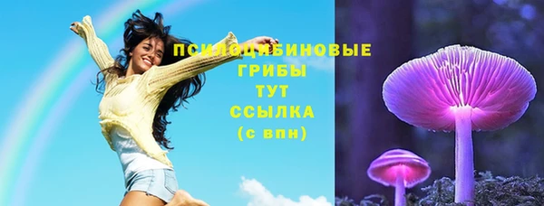 гидра Медвежьегорск
