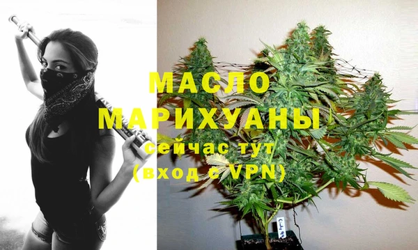гидра Медвежьегорск