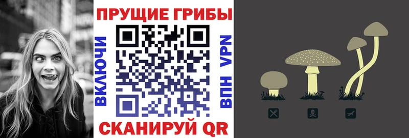 цены наркотик  Никольск  Галлюциногенные грибы GOLDEN TEACHER 